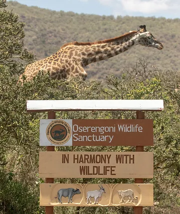 Oserengoni Wildlife Sanctuary